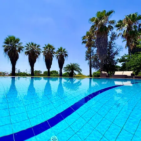 Palm Ammes Villa Svoronata