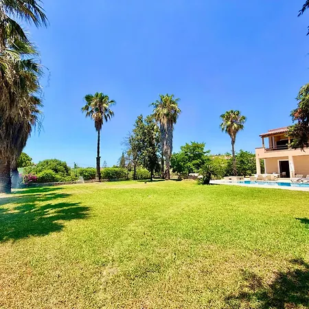 Palm Ammes * Svoronata