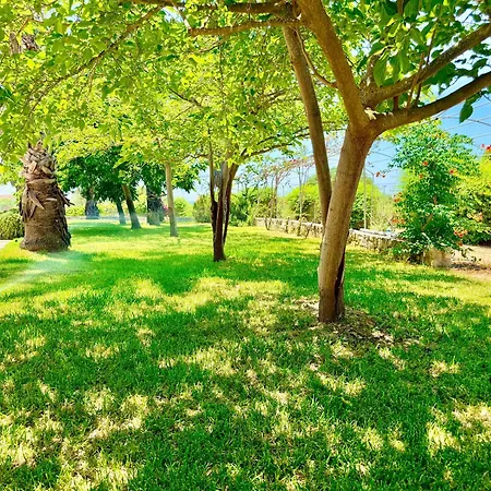 Palm Ammes Villa Svoronata