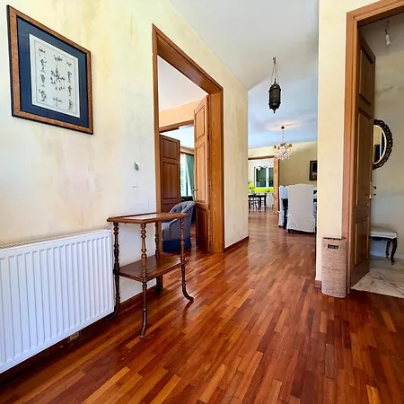 Palm Ammes Villa