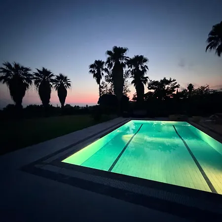 Palm Ammes Villa *